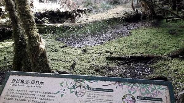 【太平山系】步道彙總 想走的太平山的步道都在這兒