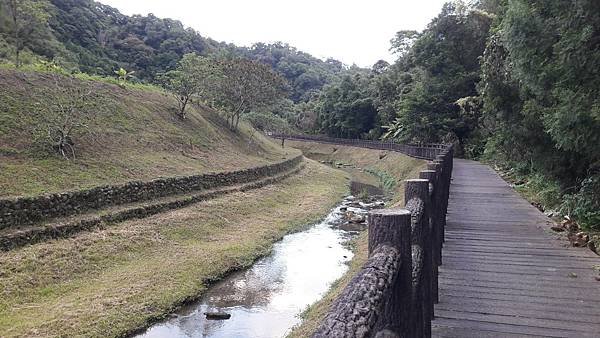 (335大溪區)頭寮山、湳仔溝古道