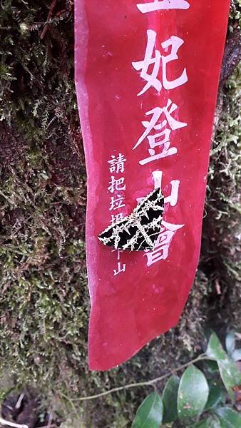 【夢幻國度】四神縱走 蘭崁大白山
