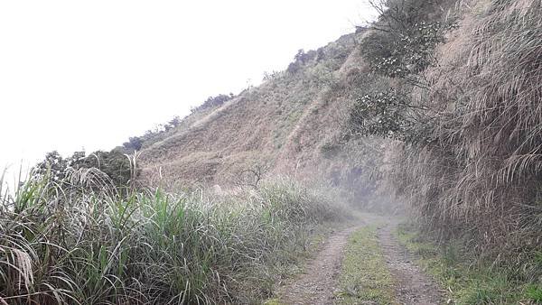 【夢幻國度】四神縱走 蘭崁大白山