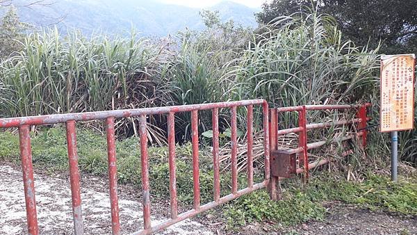 【夢幻國度】四神湯の縱走(神社、神代山、神代池、神木)&amp;蘭崁