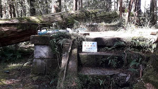 【夢幻國度】四神湯の縱走(神社、神代山、神代池、神木)&amp;蘭崁