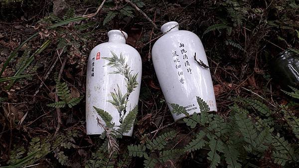 【夢幻國度】四神湯の縱走(神社、神代山、神代池、神木)&amp;蘭崁