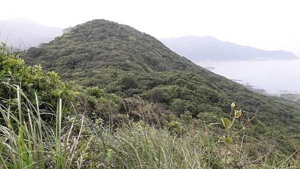 (228貢寮區)海島舟記 澳底金銀島獨木舟 金沙灣 火山美人