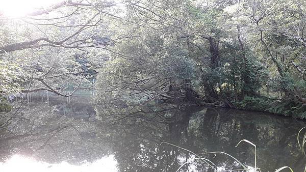 (201信義區)半日微旅提案~信義區