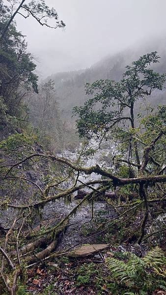 馬博橫斷 百岳行的最後一課~錦毛鼠 百岳行