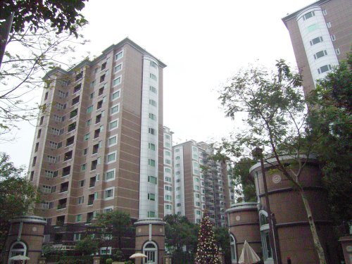 信義之星1s.JPG