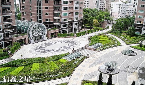 信義之星.jpg