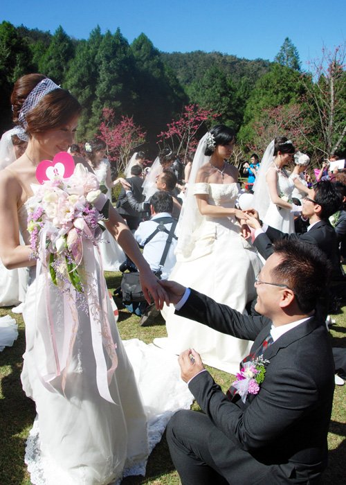 櫻花誓約浪漫求婚