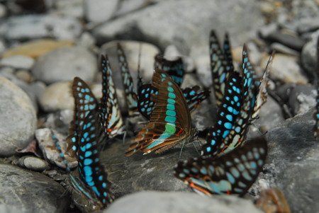DSC_0056.jpg