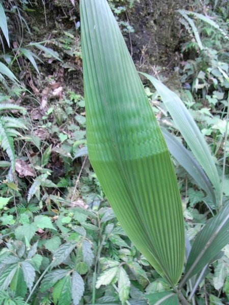 RIMG0083.jpg