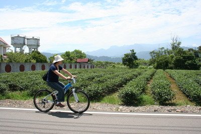 自行車路線 (20).jpg