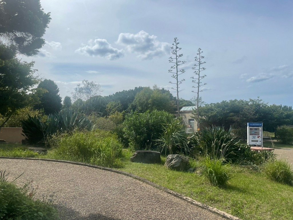 九州JR香椎線.西戶崎.海之中道海濱公園(行程安排與玩法還有