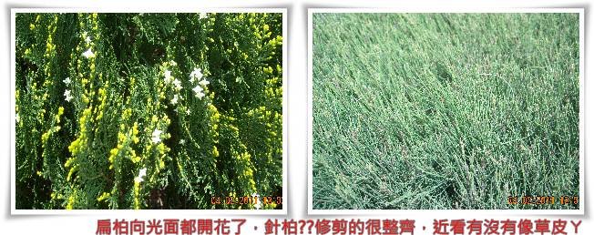 2011040212.jpg