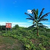 交通部觀光署振興花蓮震後獎勵旅遊個別旅客優惠活動