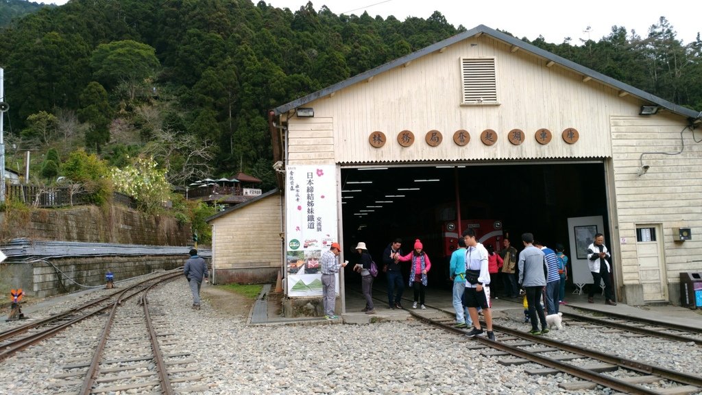 阿里山森林小火車_170206_0034.jpg