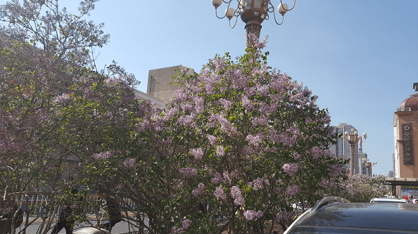 20190503_143634.png