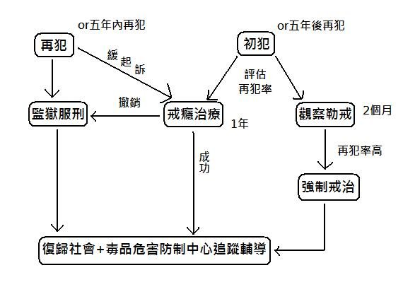 毒品施用者的刑事政策.jpg