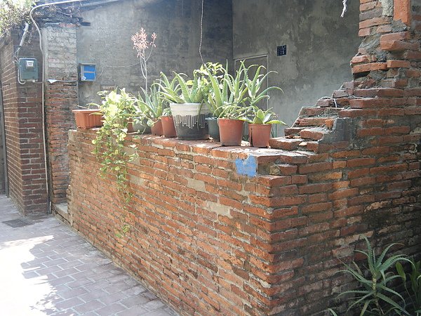 DSCF2106.JPG