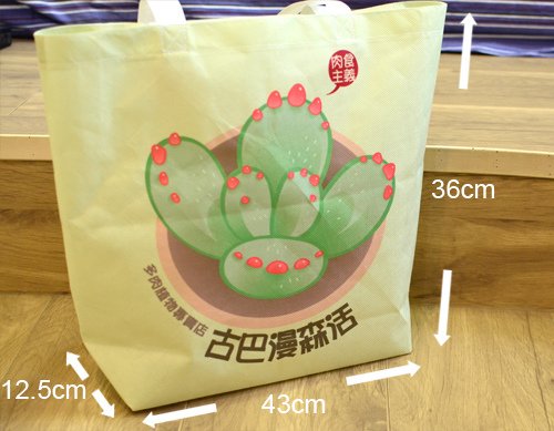 台灣蝕-不織布環保購物袋-Shopping Bag_Size.jpg