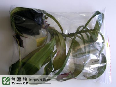 台灣蝕-0206-李小弟出貨品管-1.jpg