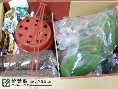 台灣蝕-2010-10-28-出貨品管-1.jpg