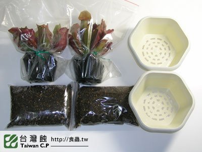 2010-10-26-出貨品管-台灣蝕-01.jpg