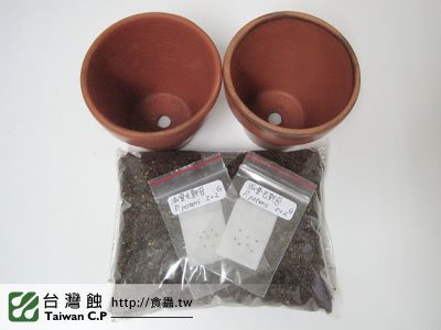 台灣蝕-0125-出貨品管-1.jpg