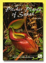 台灣蝕-食蟲書籍-A Guide to the Pitcher Plants of Sabah