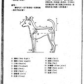 TKA授權使用台灣犬標準書~