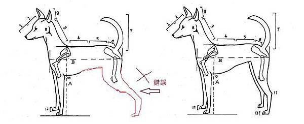 tka標準圖對比