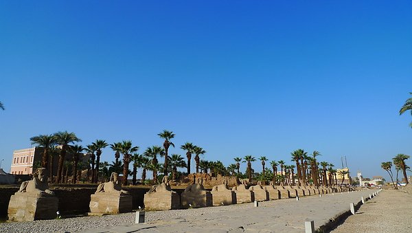 luxor temple 1.jpg