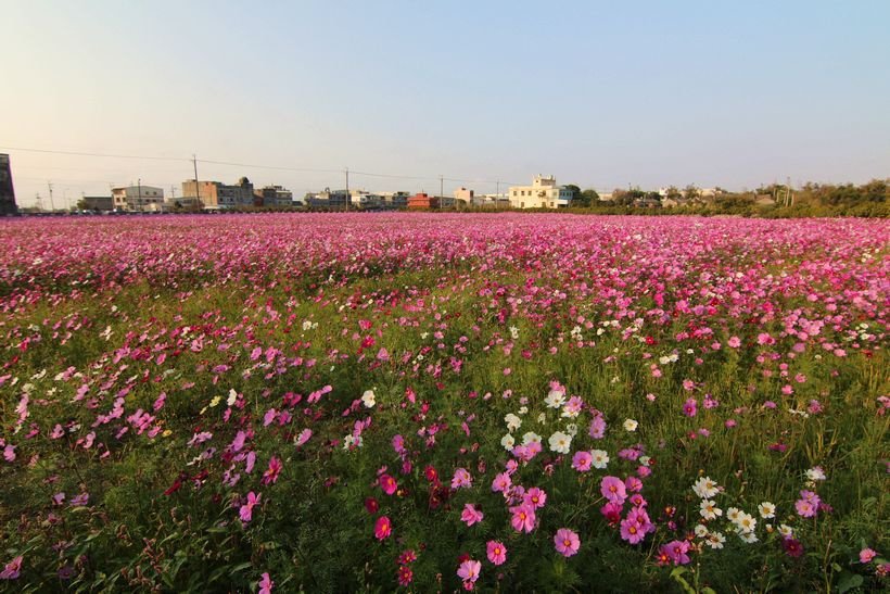 田園風光