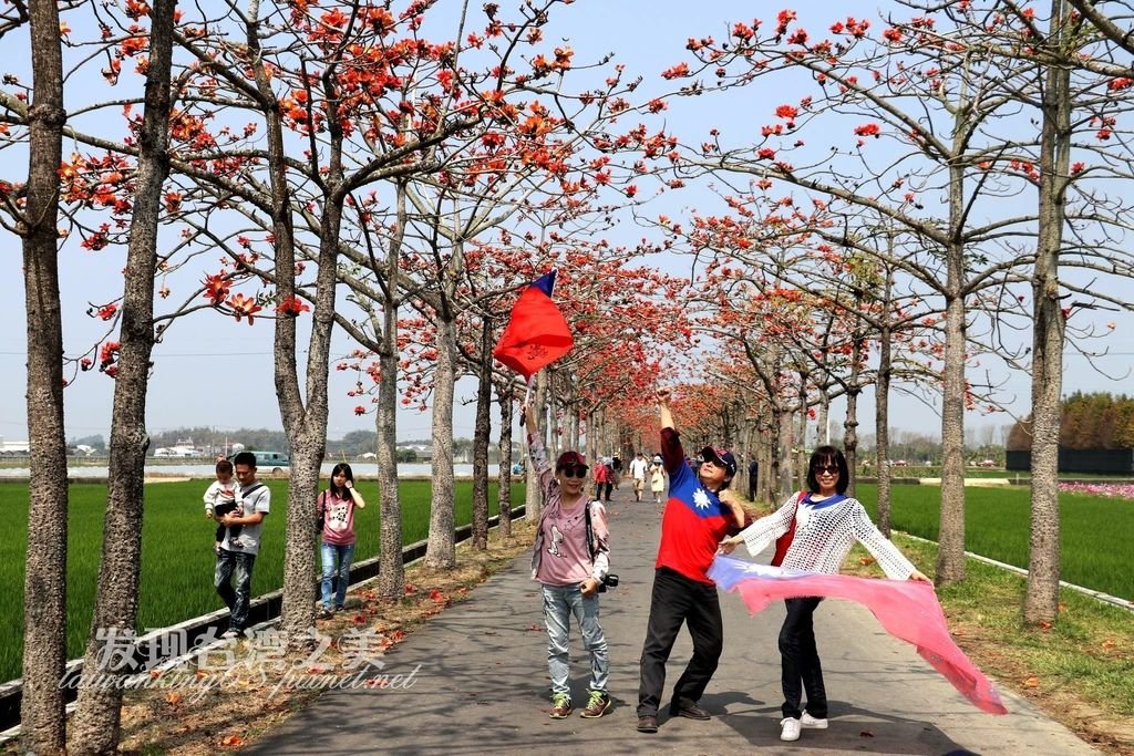 2020年台南林初埤木棉花大道