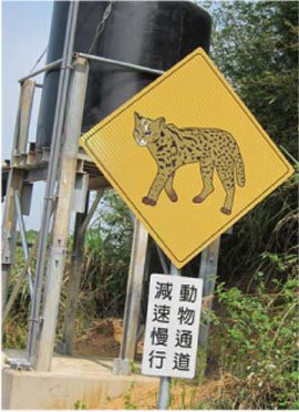 動物通道