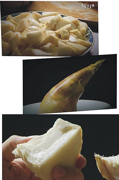 pixnet golden bamboo shoot