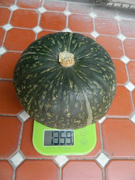 1011018.jpg