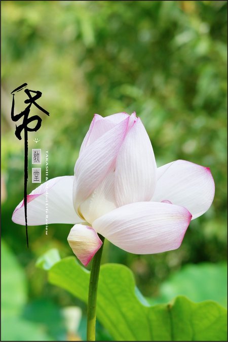 紙教堂-15.jpg