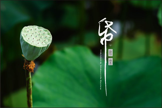 紙教堂-19.jpg