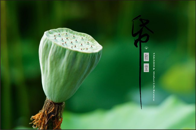 紙教堂-20.jpg