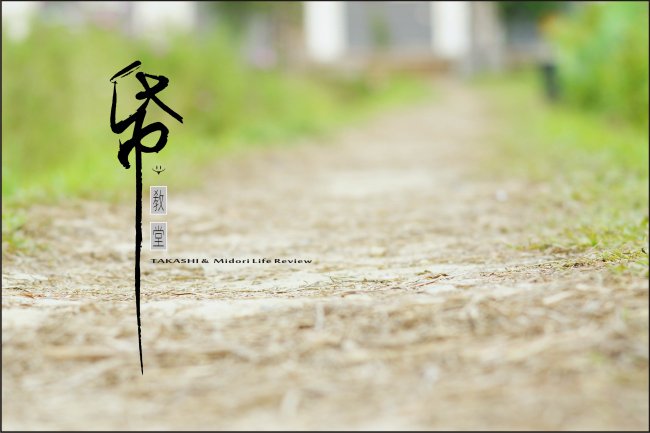 紙教堂-33.jpg
