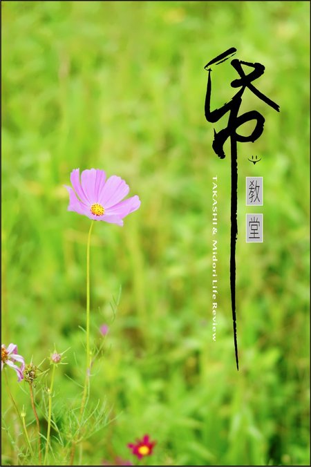 紙教堂-36.jpg