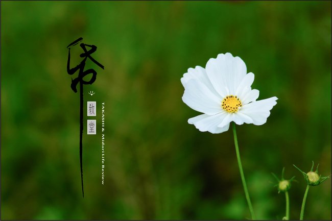 紙教堂-37.jpg