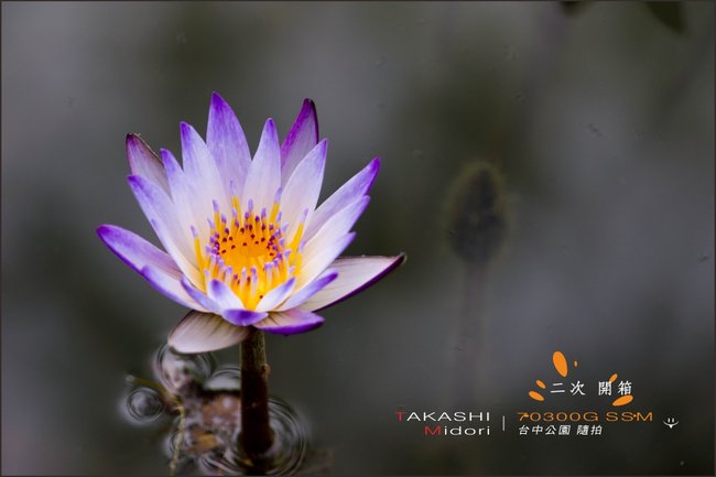 70-300G-二次開箱-32.jpg