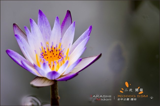 70-300G-二次開箱-33.jpg