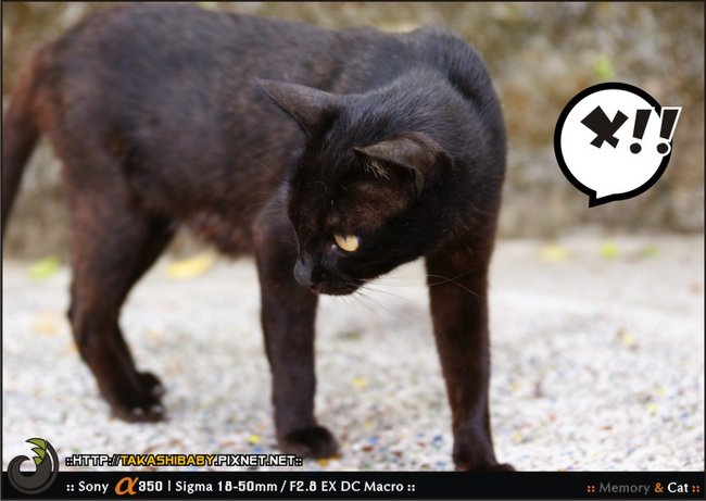 猴硐-31.jpg
