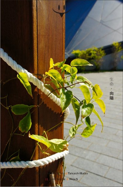 台中-舊酒廠-3-1.jpg