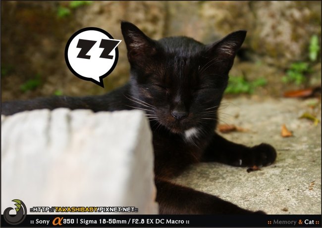 猴硐-29.jpg