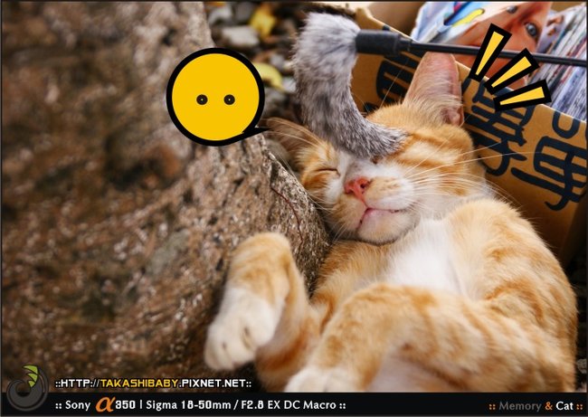 猴硐-23.jpg