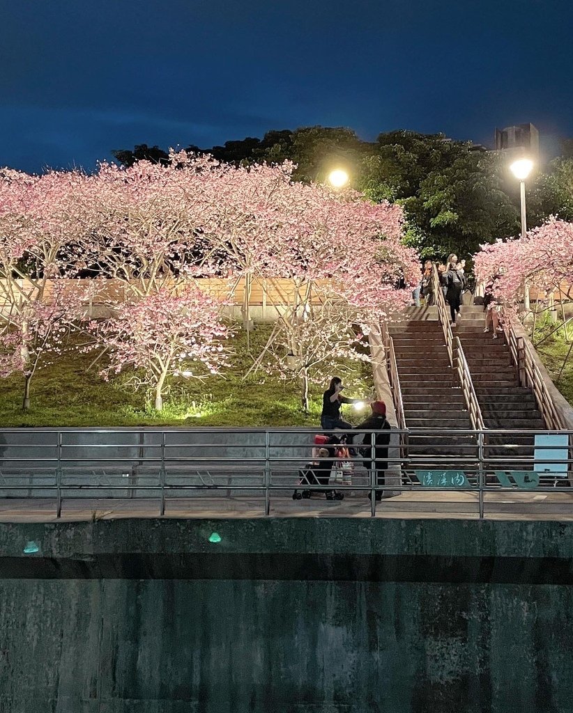 20240203夜櫻-樂活運動公園-3.JPG